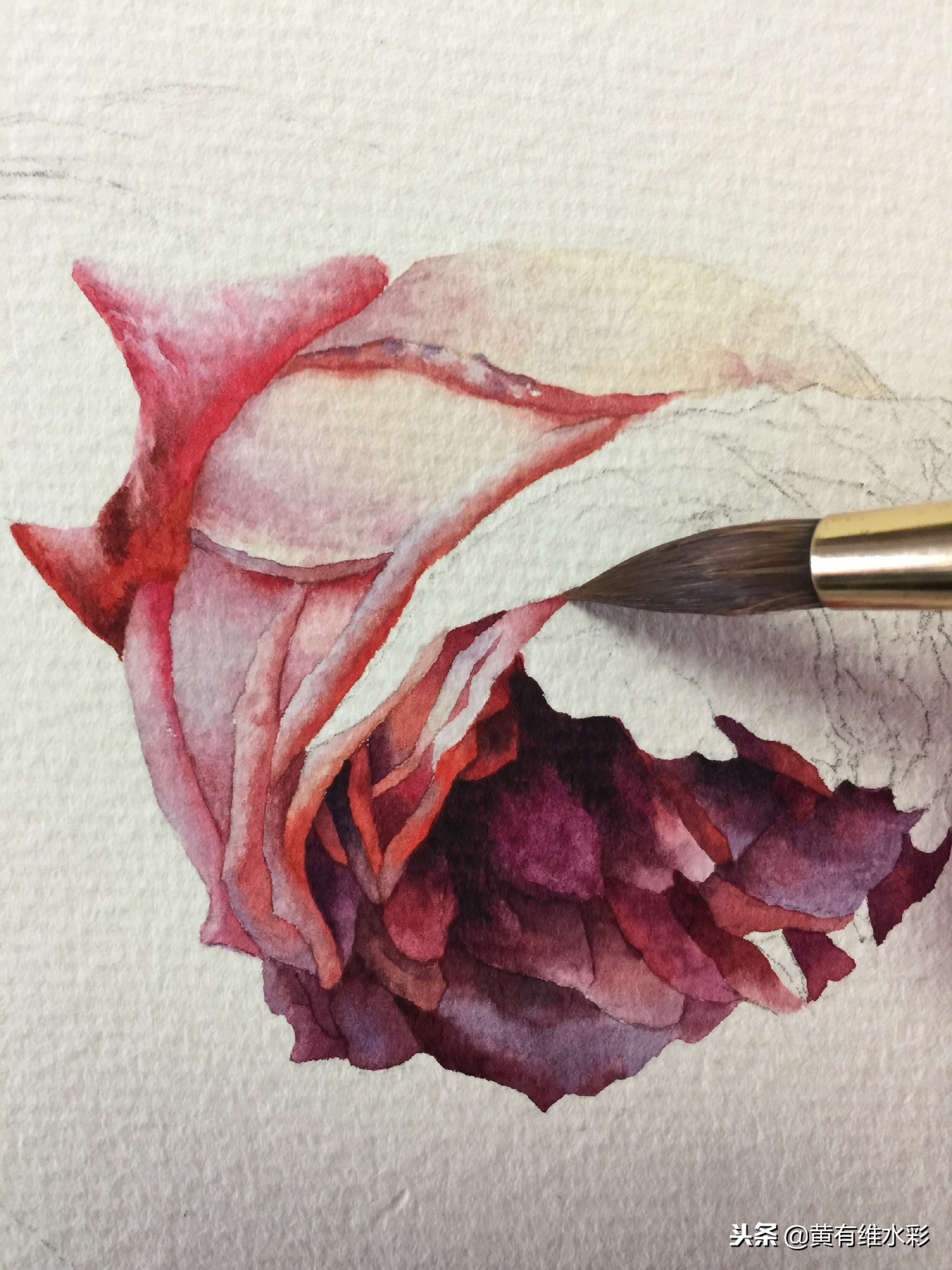 水彩教程简单好看手绘图片,水彩教程画花