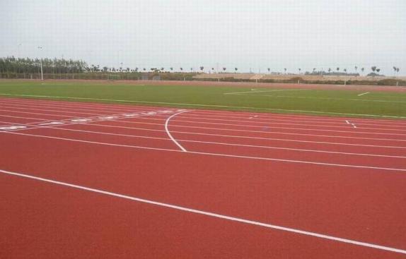 标准田径场示意图,田径场地的设计有哪些原则