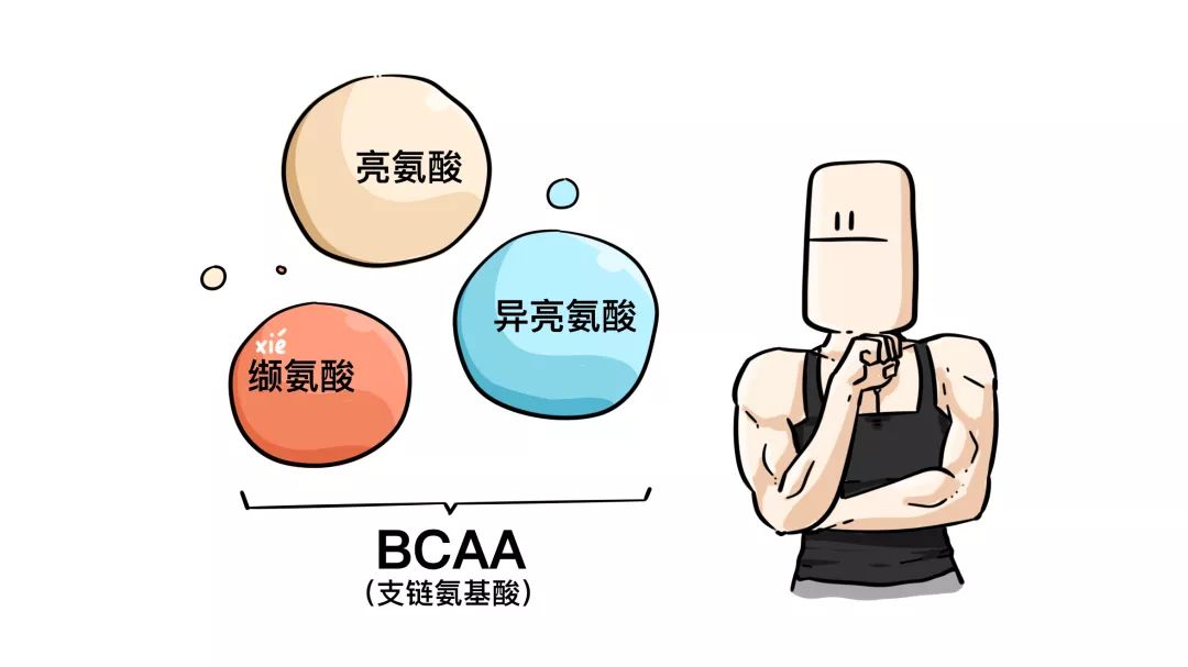 牛羊猪鸡鱼哪个营养价值最高,牛羊猪鱼营养对比