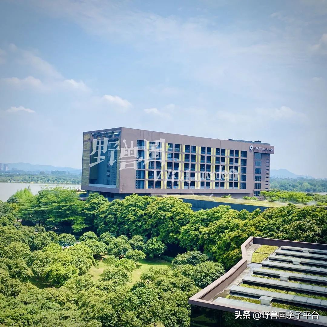 松山湖风景区松湖烟雨是哪个门,松山湖景区松湖烟雨有哪些好玩的