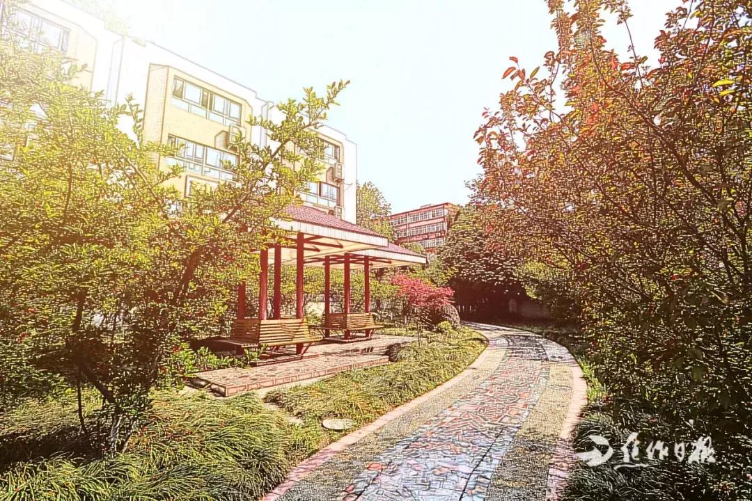 焦作市第十一中全国排名,焦作市第十一中学