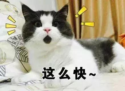 穗深城际铁路新消息,好消息京唐京滨城际铁路年底开通