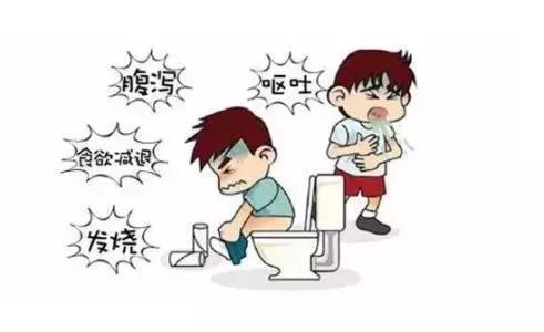 肠胃炎发作真要命,应急方法在这,能有效缓解症状!