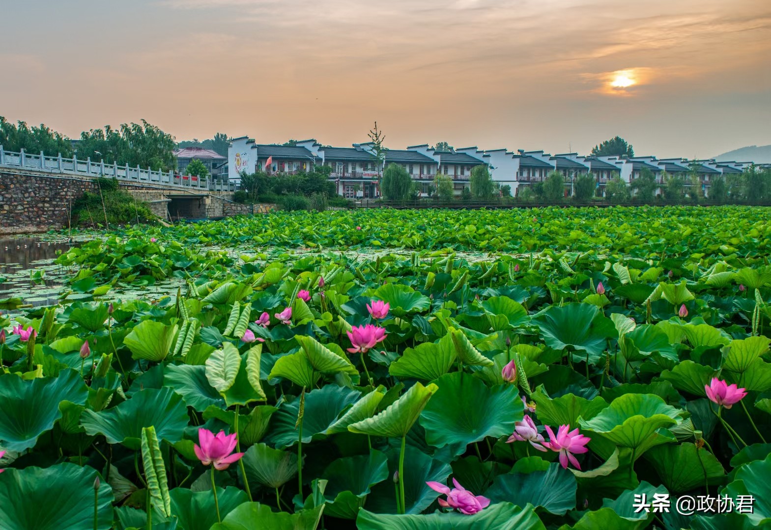 红火乡村旅游带热文旅市场,红火铜山
