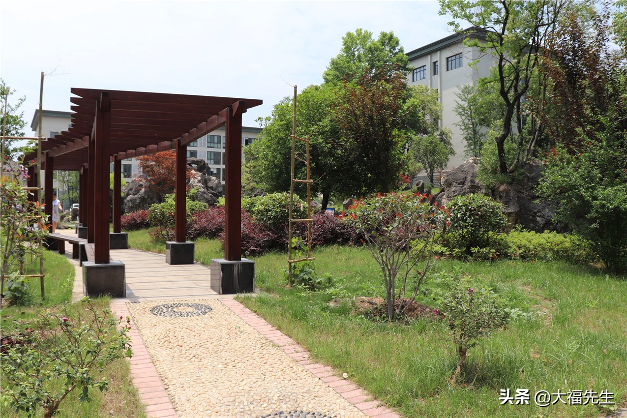 钢铁年代战友重逢,钢铁情怀