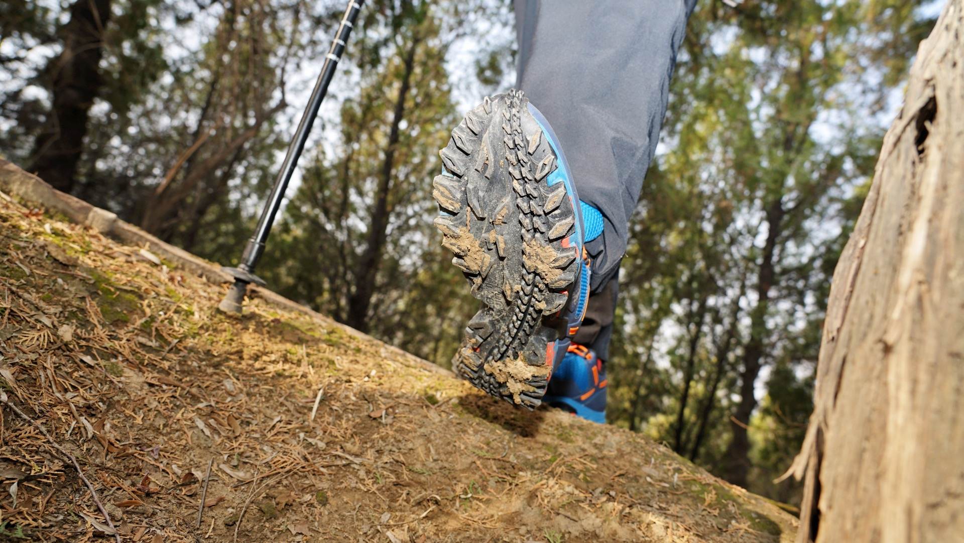 春游准备计划,制定春游小计划