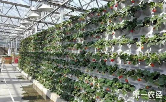 创业致富项目投资加盟,这10个投资小见效快的生意最靠谱