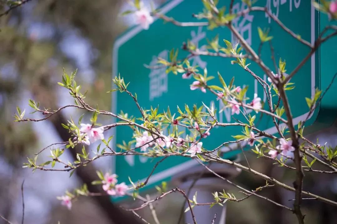 青岛13号线网红景点,青岛最值得去的景点和网红打卡点