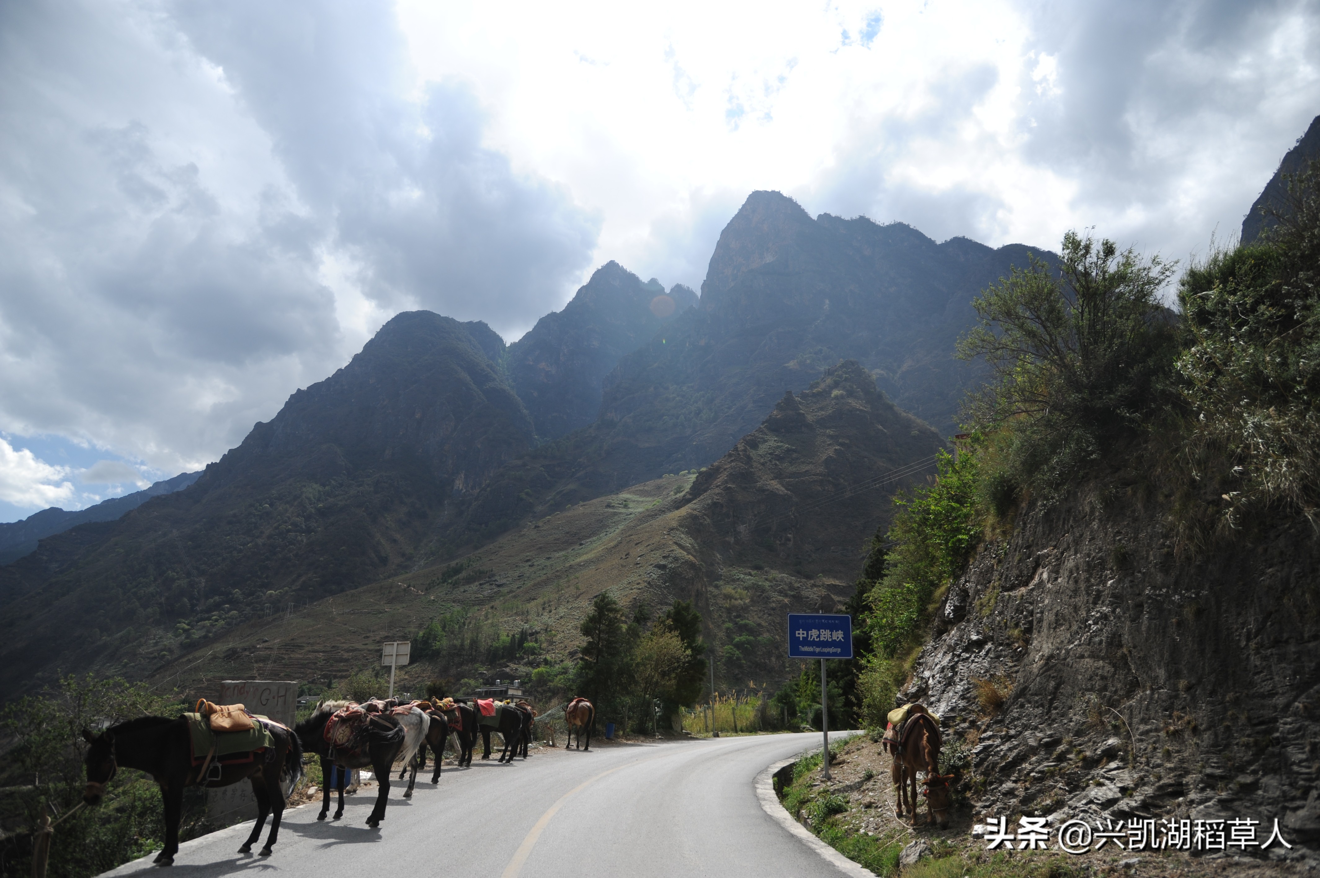 云南行记之徒步丽江虎跳峡