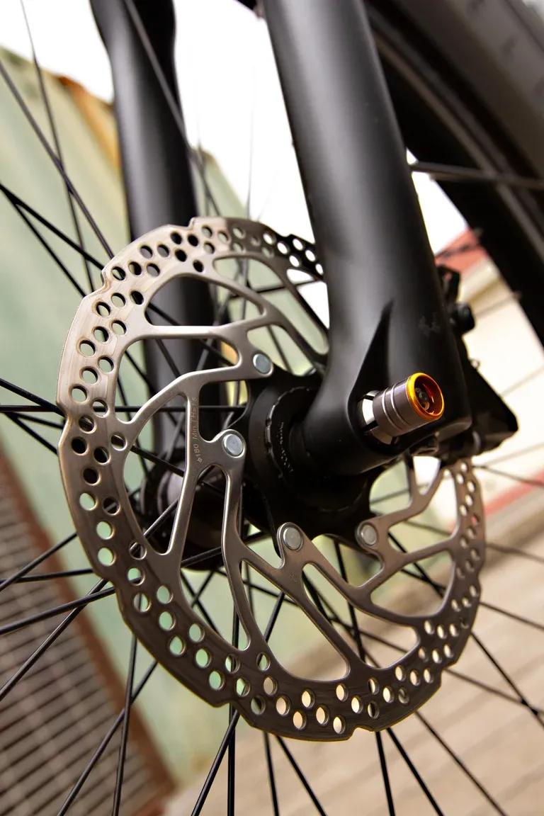 与英国蓝铃自行车其名的荷兰蹬羚自行车，出品第一台电动自行车