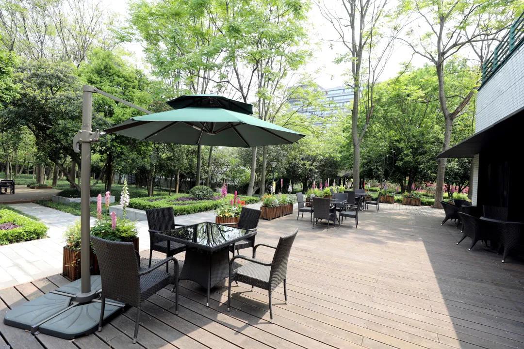 刘一峰耶鲁浙大,85后耶鲁正教授回国