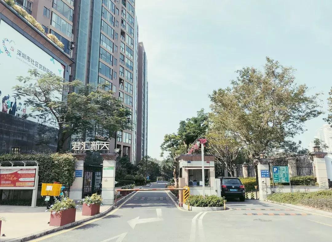 深圳湾公园这里有什么好吃的,深圳湾在哪里