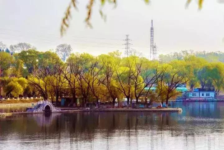 北京小众湿地公园免费,北京周边湿地公园