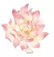 千年相思的唯美诗句,相思入骨的经典诗句