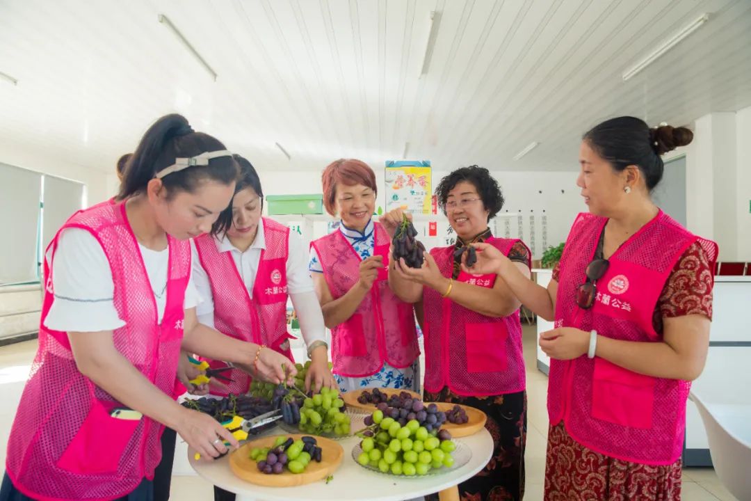 文旅资讯站｜慈溪市第十六届葡萄节暨灾后复产现场会顺利举行