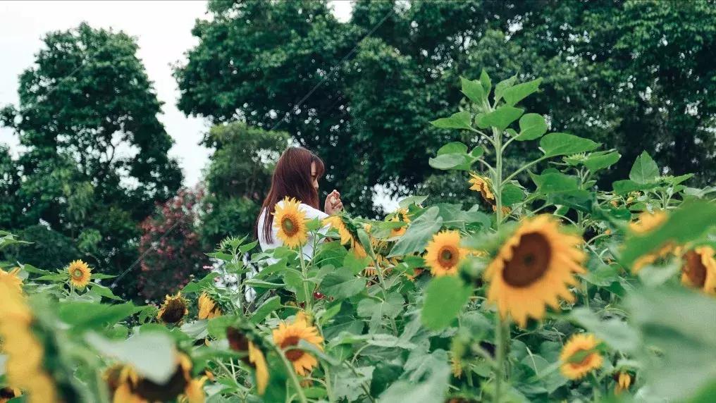 对不起我要去昭通了,对不起我要去西安了