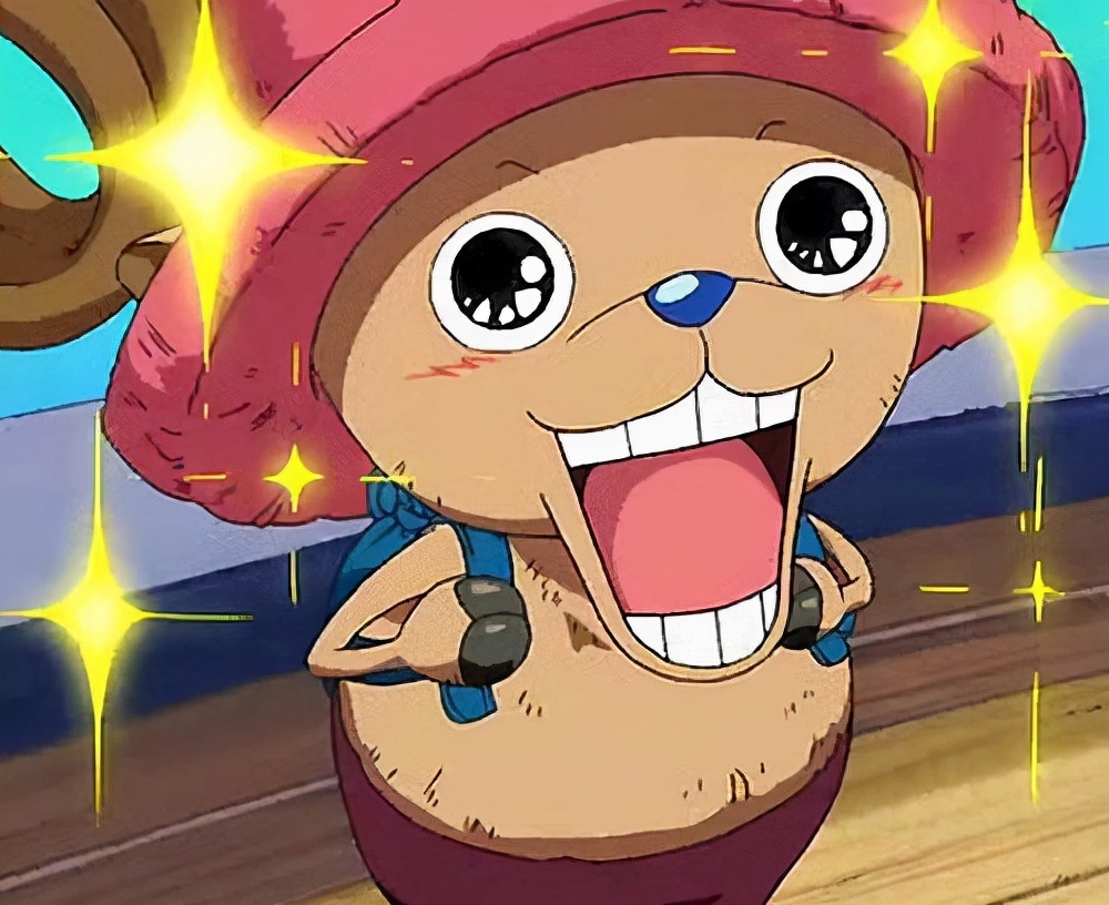 海贼王各个海贼团的团宠,海贼王十大海兽