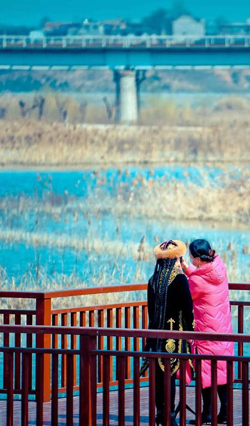 阎良石川河秋日美景,阎良最美石川河