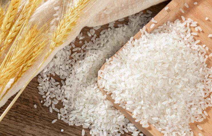 小米有品面条直播,小米有品直播间旗舰店