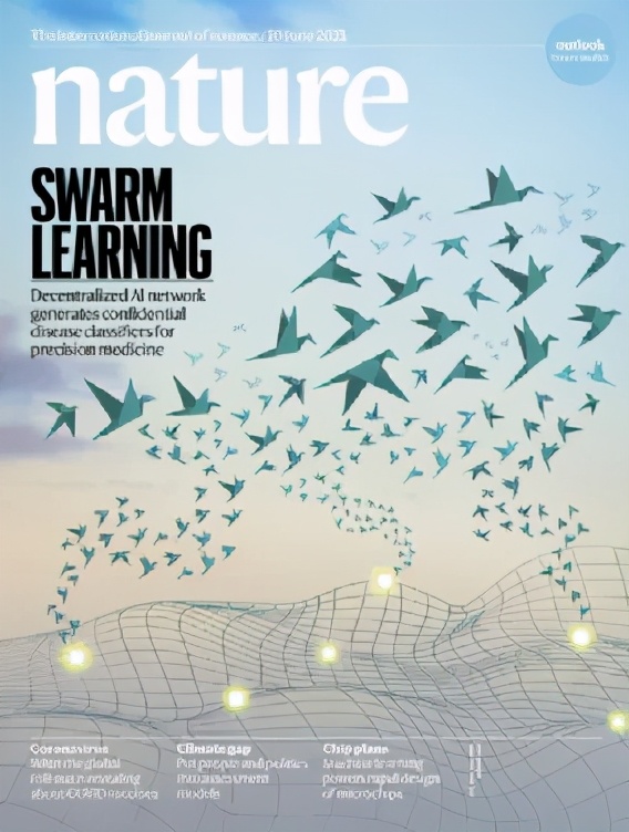 《自然》(20210610出版)一周论文导读