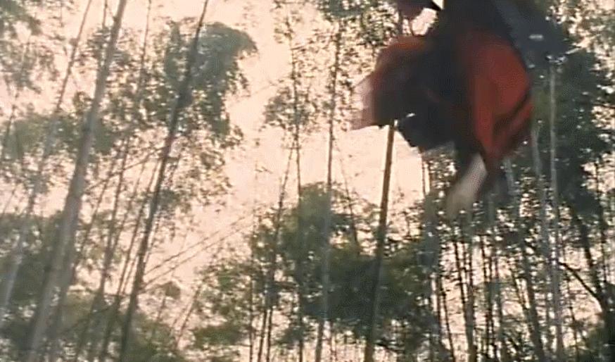 甄子丹最佳战役,盘点甄子丹古装戏精彩打斗