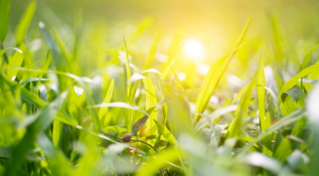 司法救助问题,司法救助为贫困家庭渡难关