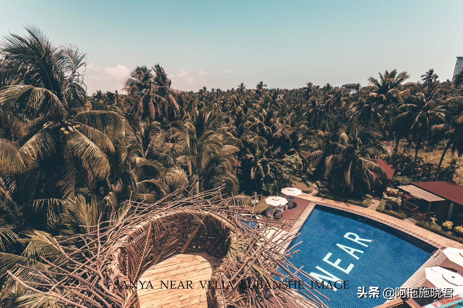 漫步其中尽享清新惬意,漫步海边椰林