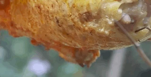 中国大爷造出2600年前鲁班凳,2600年前鲁班凳河南大叔潜心钻研