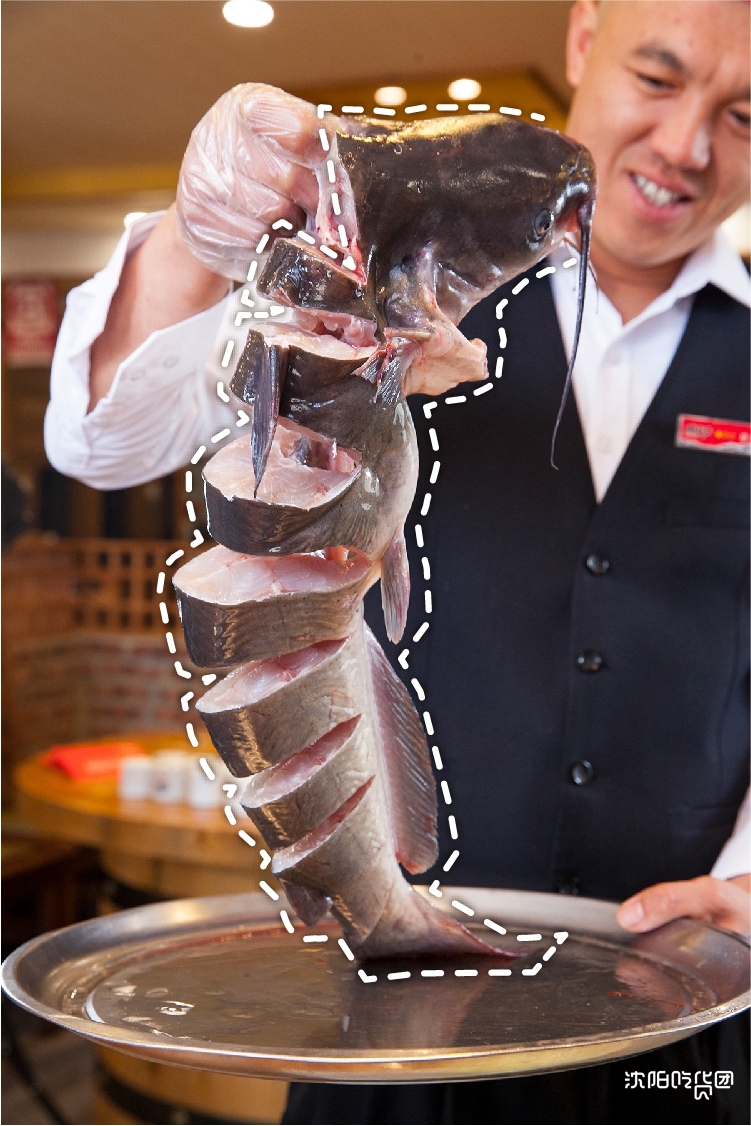 东北的骄傲视频,东北的骄傲有哪些