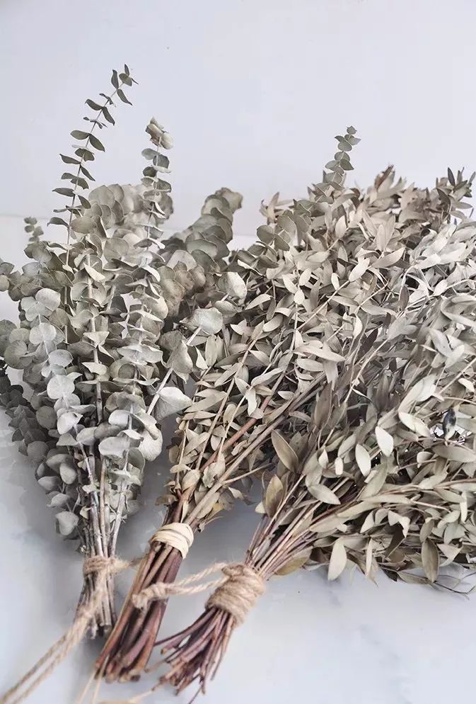 鲜花和干花的不同美感,有哪些花可以制作干花