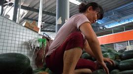 广州市水果市场热闹吗,广州市场有什么水果