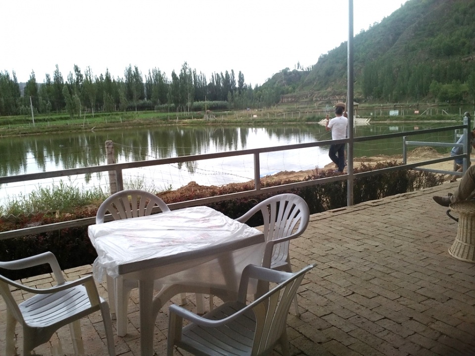 鹿醇宝,甘肃鹿醇宝实业有限公司