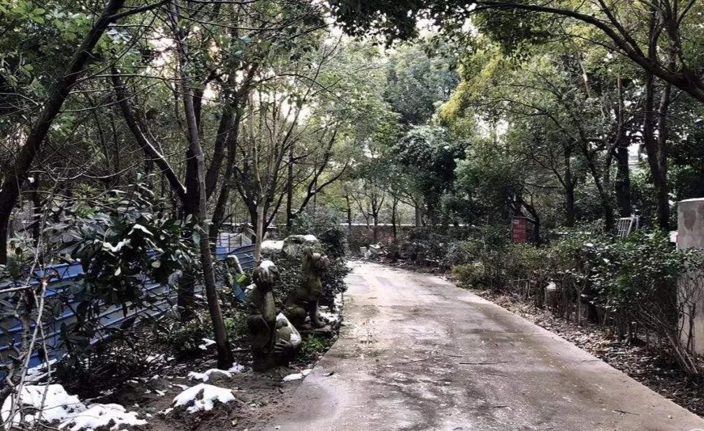 你家的老人，也在小区里捡纸箱子吗