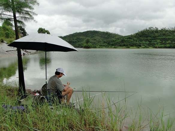 广东钓土鲮鱼用多大的子线和钩子,南宁用什么饵料钓土鲮