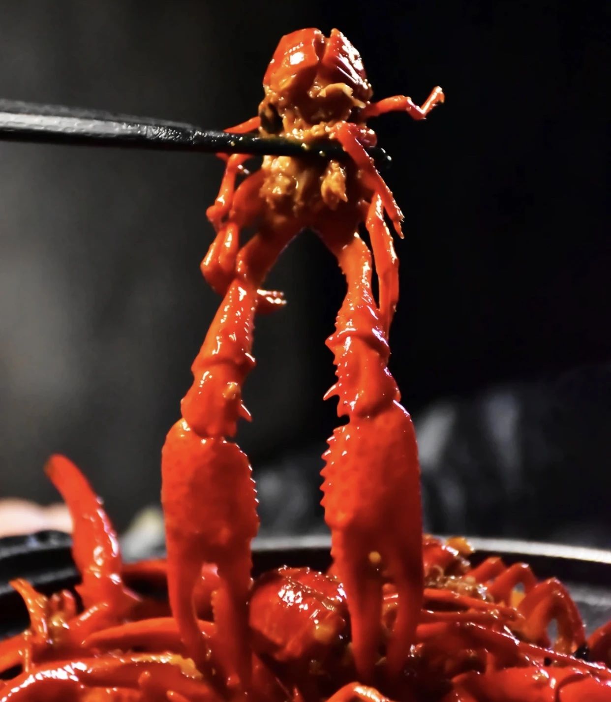 小龙虾门派,江湖最好吃的小龙虾