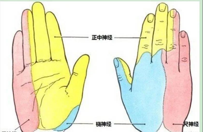 生命汇医疗国际中心,生命汇医疗服务