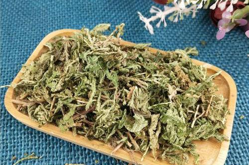 讲解中医食药知识的视频,食药知识宣讲