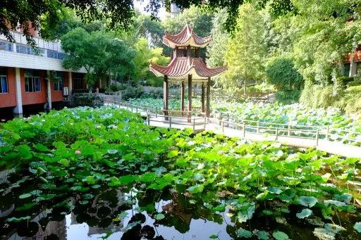 重庆一中与巴蜀中学哪个好,重庆一中全校前十名