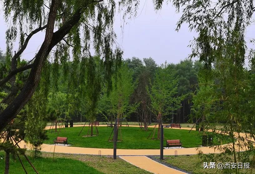 西安市有哪些公园免费开放,西安免费儿童玩的公园