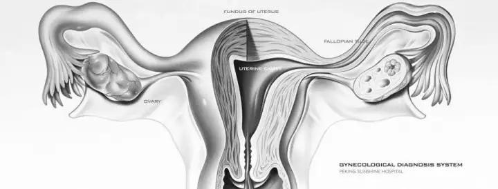 以为怀孕结果是癌症,以为怀孕了结果绝经了