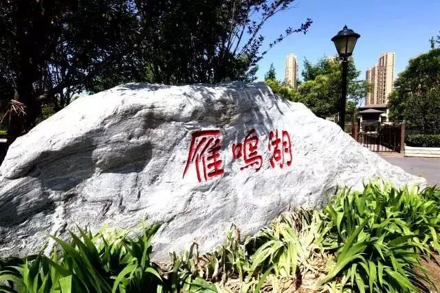 浐灞旅游一号线站点,家门口坐车去旅游真方便