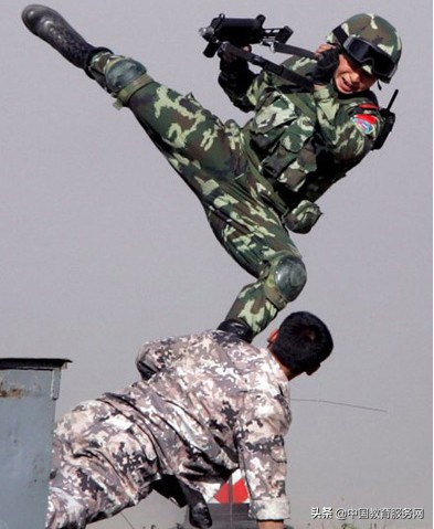 中国警用格斗术教学,警武搏击训练