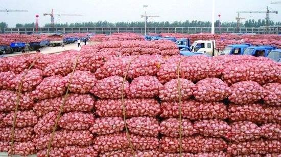 今天大蒜价格多少钱一斤?2019年5月全国大蒜最新价格行情分析