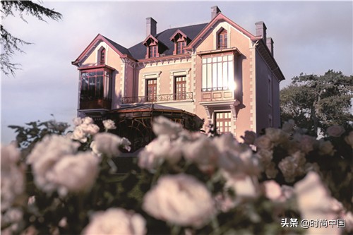 甲之蜜糖乙之砒霜出自哪,甲之蜜糖乙之霜