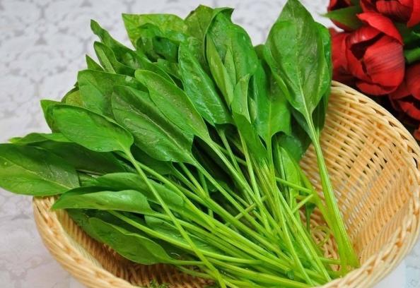 怀孕中后期孕妇需要补充什么,进入冬天孕妈妈都有哪些注意事项