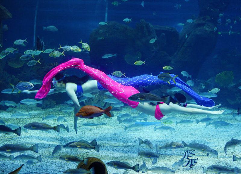 海悦天地海洋公园,庄里溜娃好去处