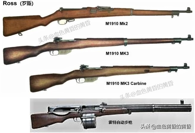 加拿大民用步枪是半自动吗,加拿大步枪中国步枪
