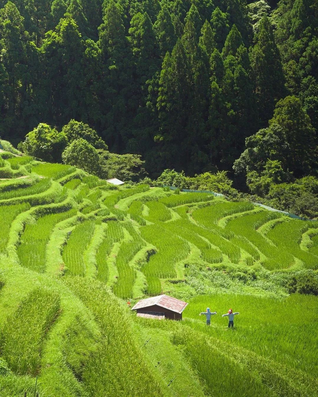 名古屋的机票,名古屋机票价格
