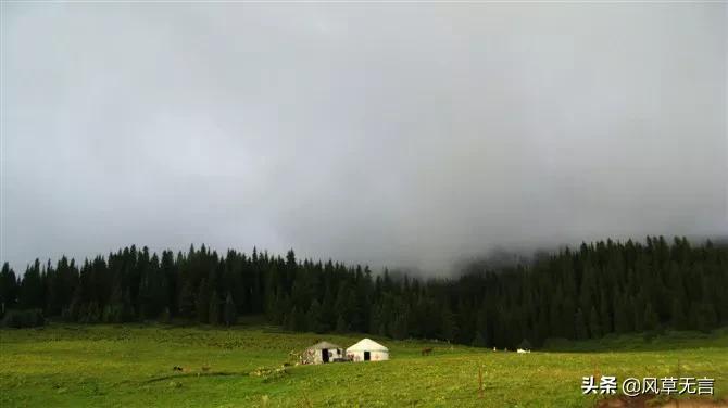 回归的日子伊犁之骑行