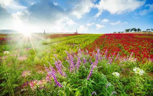 深圳东部华侨城酒店门票套票价格,华侨城799元套餐